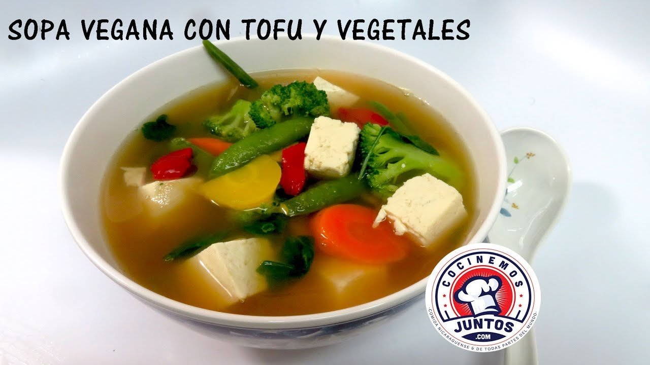 Sopa de verduras y tofu