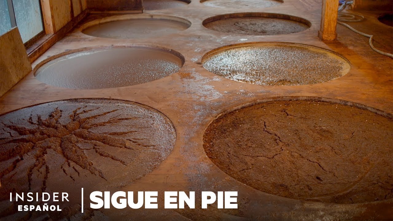 Salsa de soja ligera japonesa