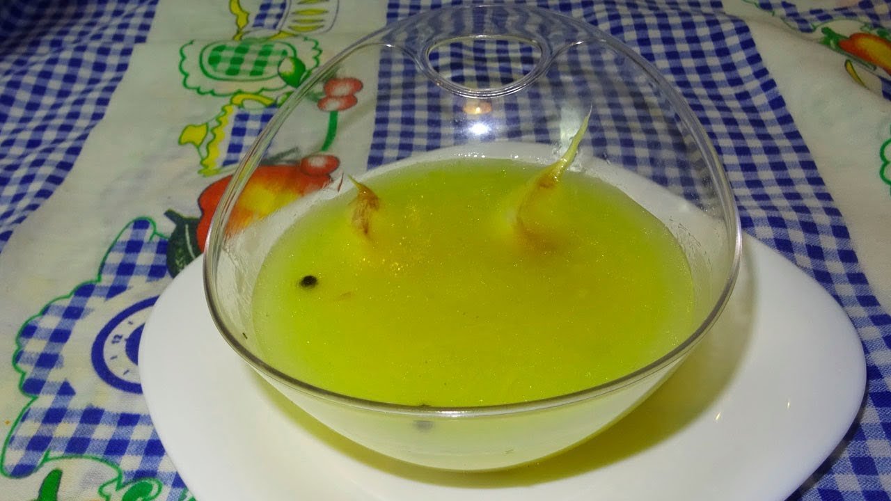 Salsa de whisky refinada