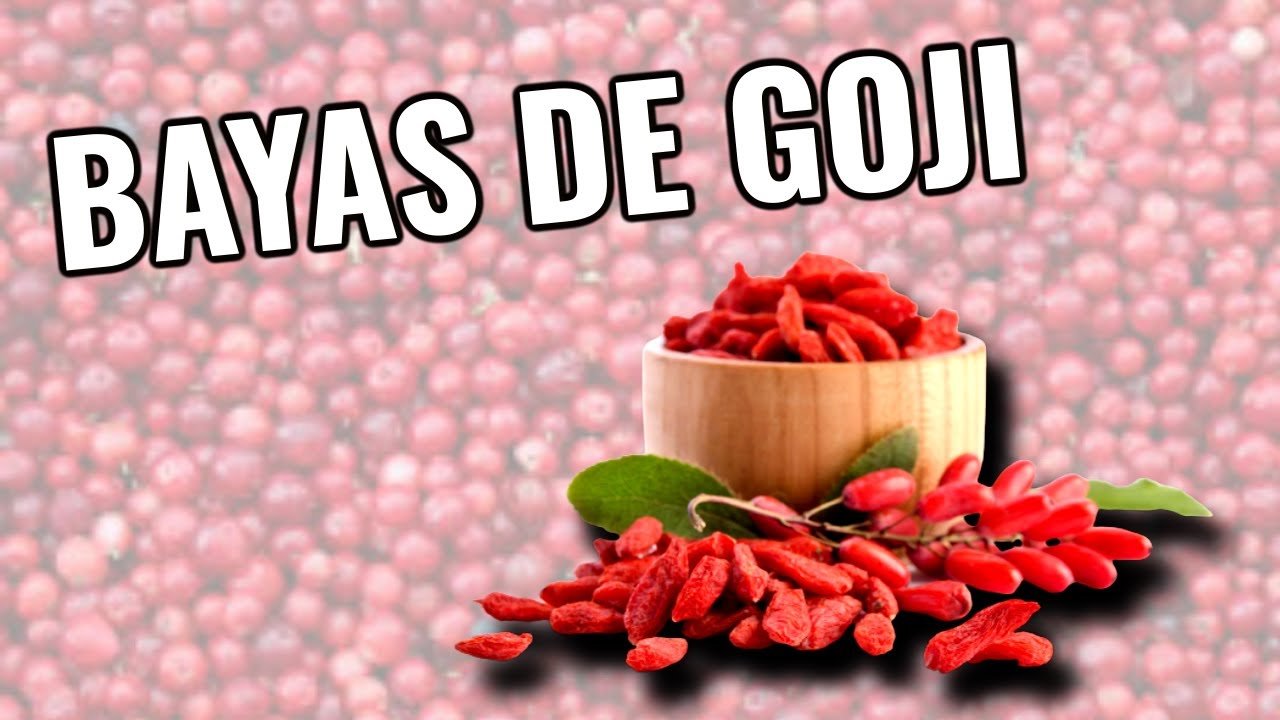 Infusión de bayas goji