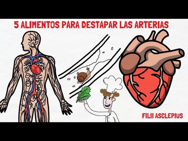 Jugos para limpiar los vasos sanguíneos