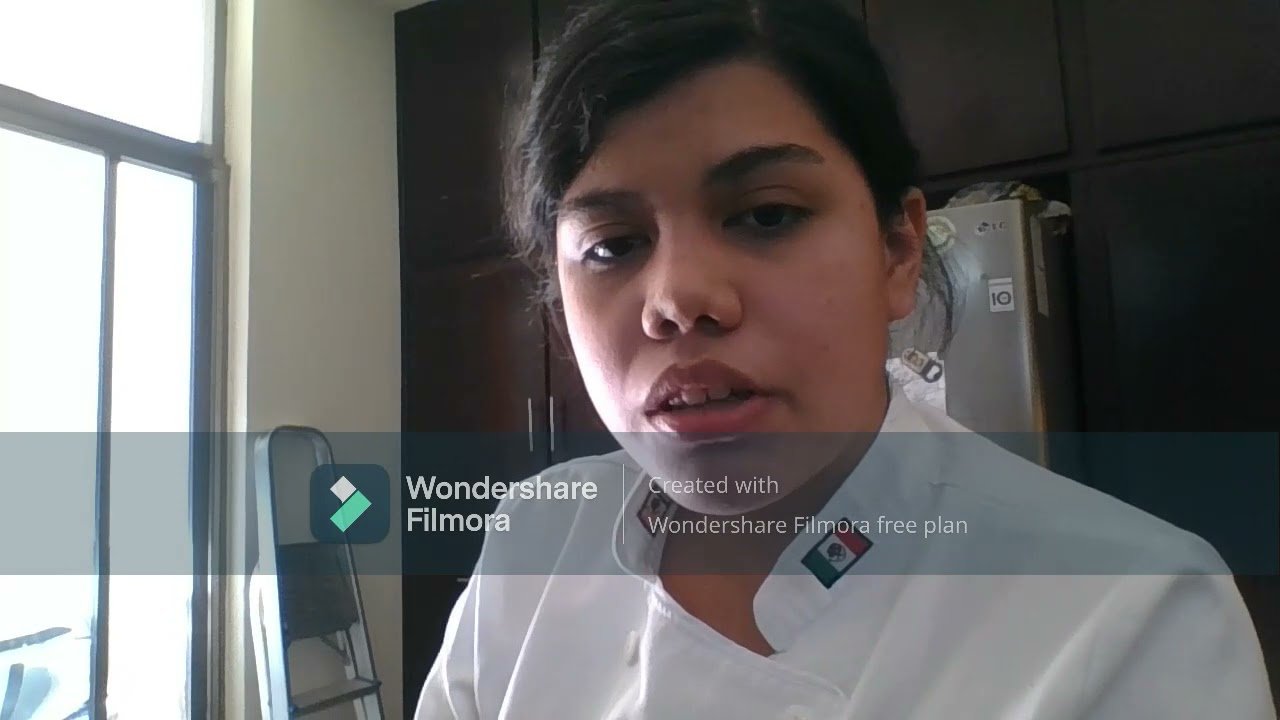 Receta de Delicioso Consome celestina