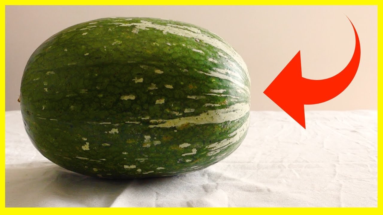 Receta de Dulce de cayote