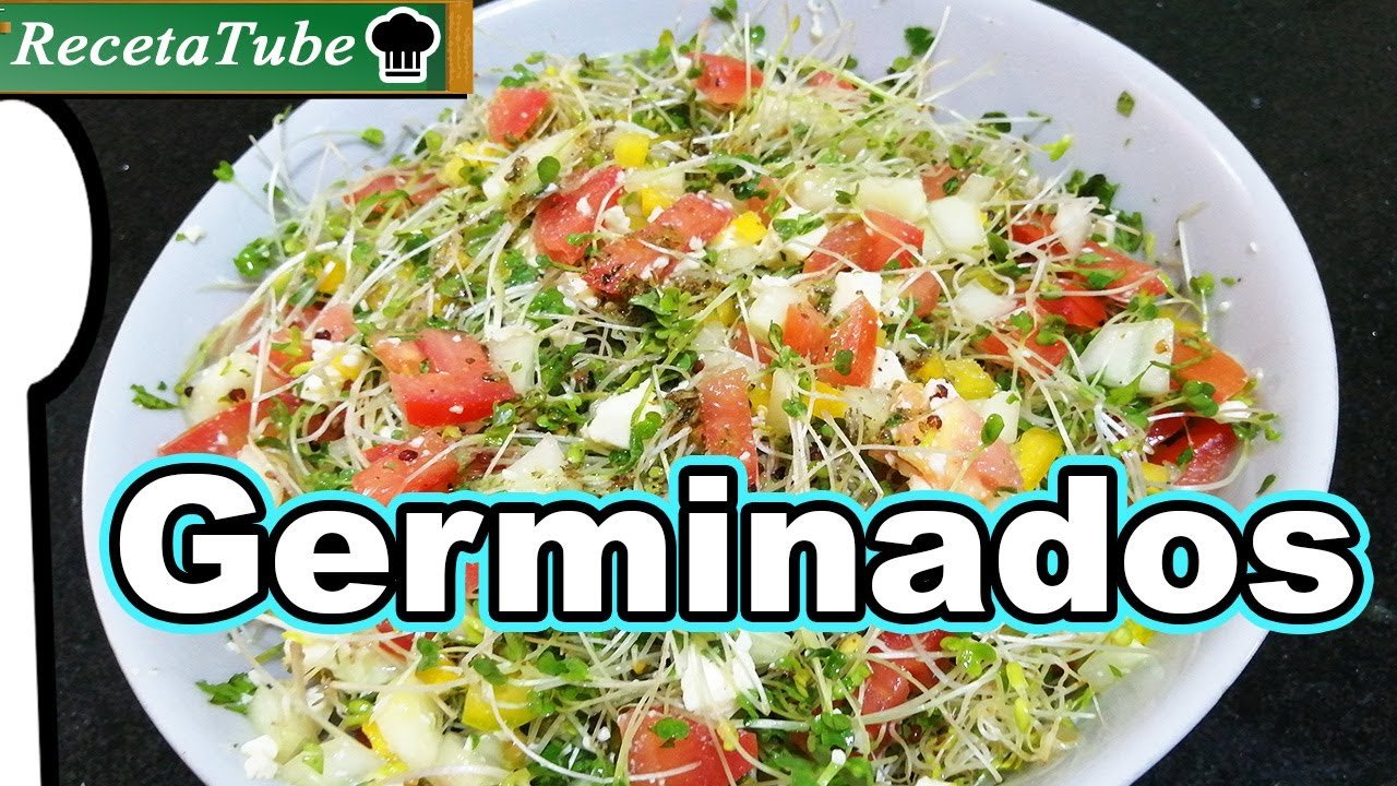 Receta de Ensalada de germinado de alfalfa