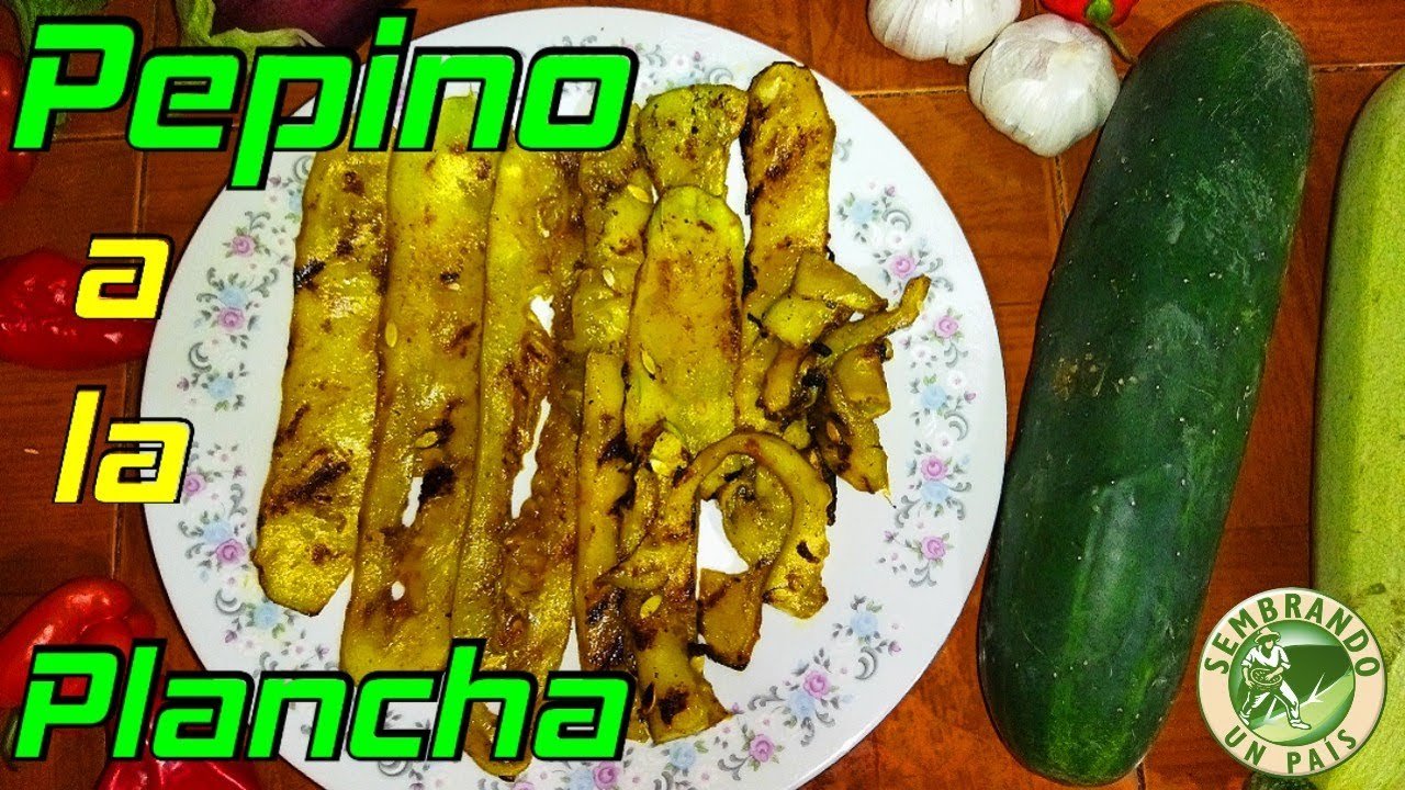 Receta de Pepino a la plancha