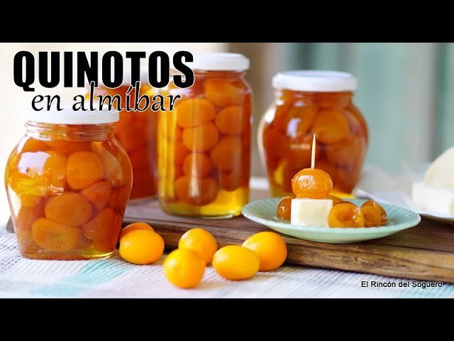 Receta de Quinotos en almibar