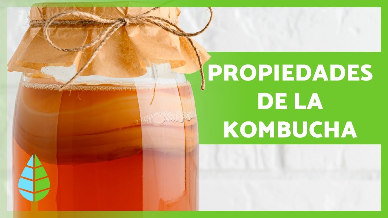 Té de kombucha