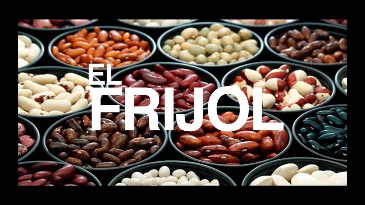 Tipos de frijoles - Nombres características y recetas
