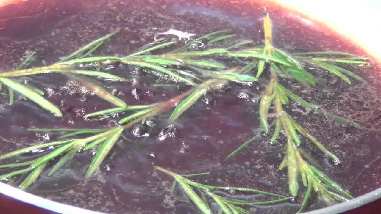 Receta de Magret de pato al oporto